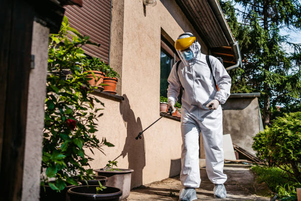 Trusted Owenton, KY Pest Control Experts