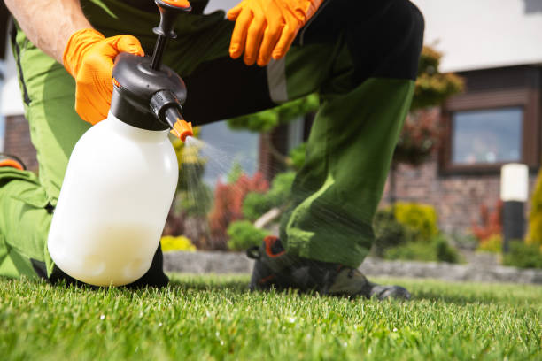 Best Residential Pest Control  in Owenton, KY