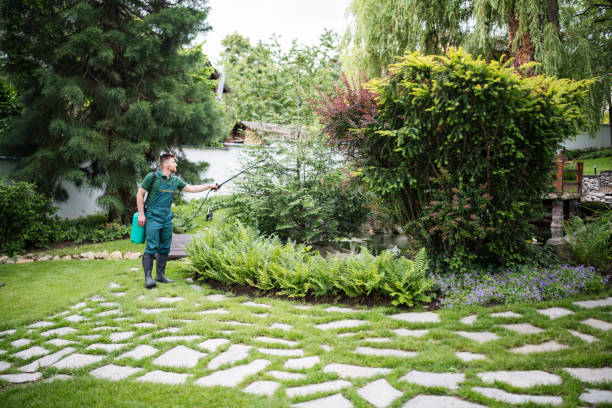Best Pest Inspection Near Me  in Owenton, KY
