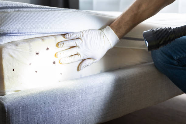Best Best Pest Control Companies  in Owenton, KY