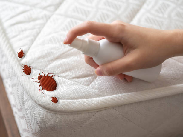 Flea Control Services in Owenton, KY