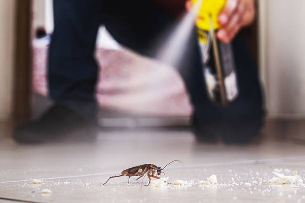 Best Cockroach Control Services  in Owenton, KY
