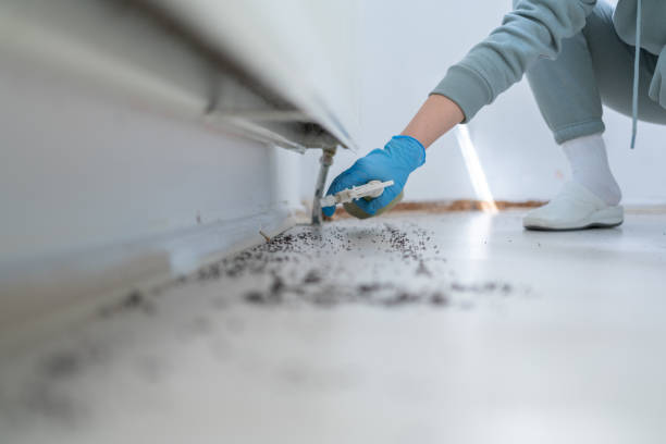 Pest Control Cost in Owenton, KY