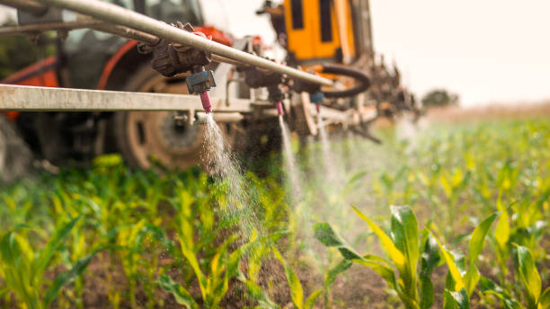 Best Ant Control Services  in Owenton, KY
